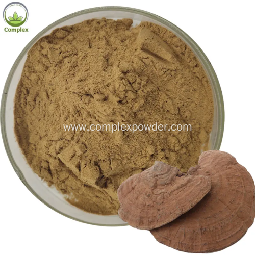 Hot sale ganoderma lucidum extract medicinal mushroom powder